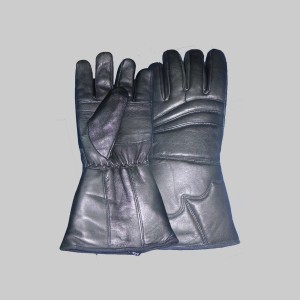 Winter Gloves W943